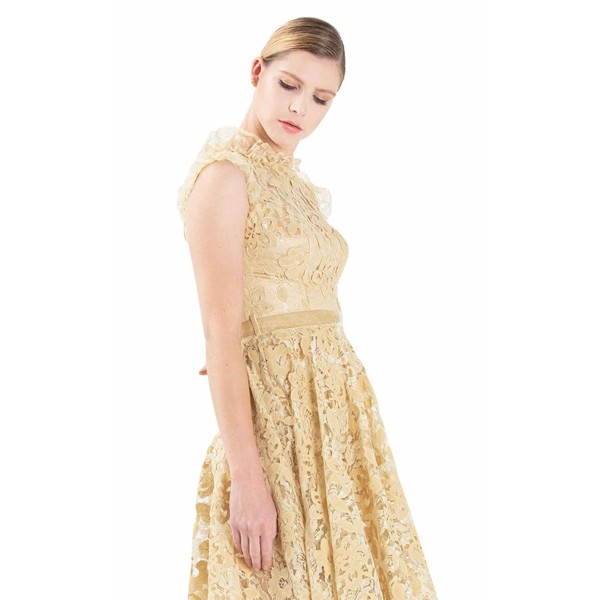 Ilmio 1956 Dress