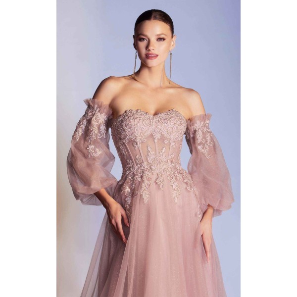 Cinderella Divine CD948 Dress